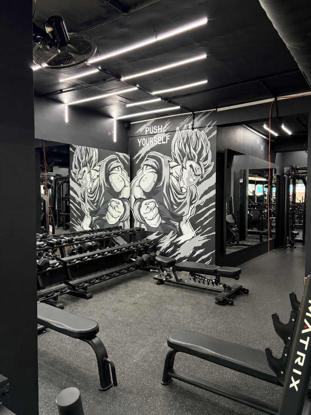Gym cover image